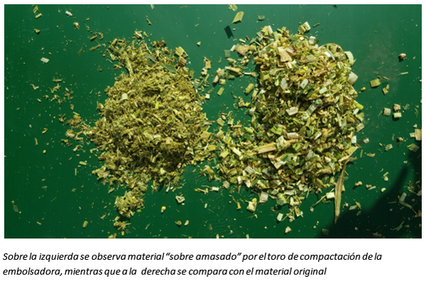 ganaderia-asi-ganadero