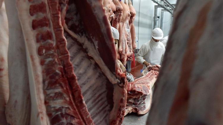 carne_64-feedlot